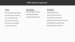 Wireshark D5 V3 - HTTP analysisDNS analysis Instructional Video