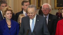 McConnell and Schumer reelected as Senate leaders Instructional Video