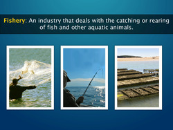 Fishery Instructional Video