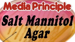 Principle of Salt Mannitol Agar-Isolation of S.aureus (Staphylococcus isolation) Instructional Video