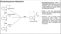 Dimethyltryptamine [DMT] | Biosynthesis, Mechanism, & Metabolism Instructional Video