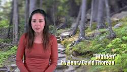 Allusion in Literature: Conveying Meaning with Brevity Instructional Video