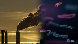 It’s Probably Not Aliens on Venus… But It Could Be | SciShow News Instructional Video