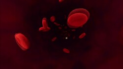 White Blood Cells Instructional Video