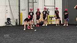 Blue Jays frenzy reaches Edmonton News Clip