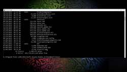Learn and Master C Programming - Writing Our First Program Using Visual C on the Command-Line Instructional Video