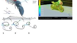 What does a Physics Major do? (Part 2 Research and Career Examples) Instructional Video