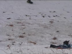 Understanding Earth's Tilt and Its Impact on Weather Instructional Video