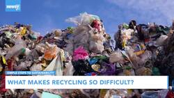 What Makes Recycling So Difficult? News Clip