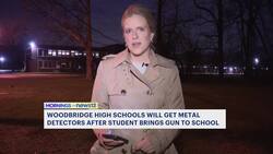 Metal detectors coming to 3 Woodbridge Township high schools following incident News Clip