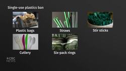Ottawa unveils single-use plastic ban despite increased use during pandemic News Clip