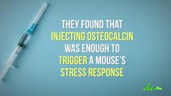 Yet More Evidence That Vaping Is Probably Terrible | SciShow News Instructional Video