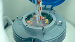 Scientist putting cell to liquid nitrogen tank in laboratory, concept science and technology, slow motion Stock Footage