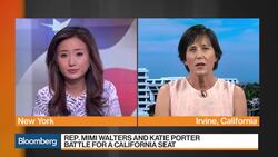 Rep. Walters Discounts Claims of Midterm 'Blue Wave' News Clip