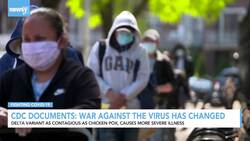 CDC Says Delta Variant Is As Contagious As Chickenpox News Clip