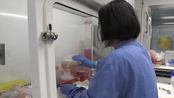 Coronavirus in numbers: UK death toll at 44,968 News Clip