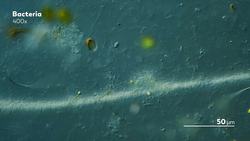 Tumbling Down Invisible Highways Instructional Video