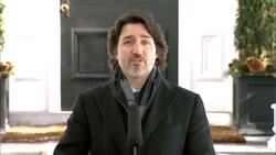 Trudeau announces new COVID measures for Canadians returning via land border News Clip