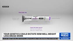 Your genetics could dictate how well weight loss drugs work News Clip