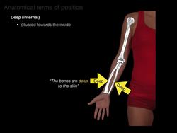 Introduction to Anatomy Instructional Video