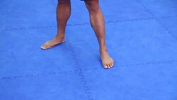 5 MMA Fighting Stance Basics Instructional Video