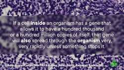 There's a Single-Celled Dog Instructional Video