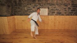 How to Do a Roundhouse Kick in Karate Instructional Video