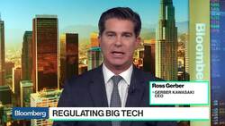 European Regulation Is Biggest Risk to Big Tech, Ross Gerber Says News Clip