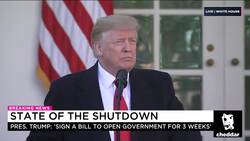 Trump Agrees to Deal to Reopen Government While Negotiations Continue News Clip