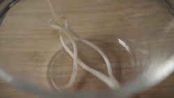 Goya Champloo_101 Easy Japanese Recipes Instructional Video