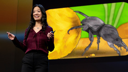 TED: Are insect brains the secret to great AI? | Frances S. Chance Instructional Video