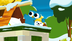 Snow Instructional Video