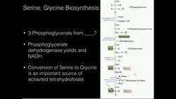 Serine, Glycine Biosynthesis Instructional Video