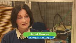 Six Bottle Feedings Each Day? This Newborn Langer Needs a Lot of Love Instructional Video