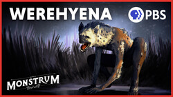 Werehyena: The Terrifying Shapeshifters of African Lore Instructional Video