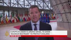 Foreign Policy Chief Borrell has called for immediate pauses in hostilities & humanitarian corridors News Clip