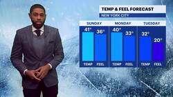 Sunny and seasonable temperatures Sunday in Brooklyn Instructional Video