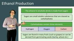 Ethanol Production: Processes, Uses and Renewability Instructional Video