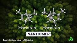 How Trees Control the Weather Instructional Video