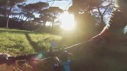 Point of view POV mountain bike fast ride in the forest Stock Footage