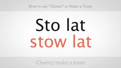 How to Say "Cheers" & How to Make a Toast in Polish Instructional Video