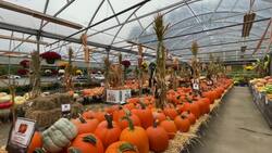 Made in the Hudson Valley: Westchester Greenhouses and Farm gears up for the fall season Instructional Video