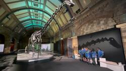 Dippy the Dinosaur returns to Natural History Museum News Clip
