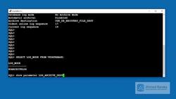 Oracle Database Administration from Zero to Hero - Practice - Enabling the ARCHIVELOG Mode Instructional Video