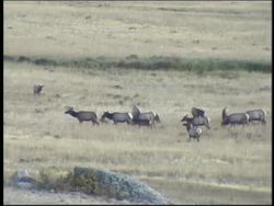 Rocks and the Rock Cycle: What Are Rocks Made of? Instructional Video