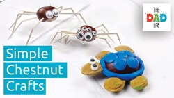 5 Fall Crafts Ideas with Conkers Instructional Video