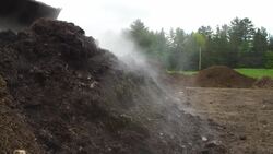 This Farm Turns Garbage into Food Instructional Video