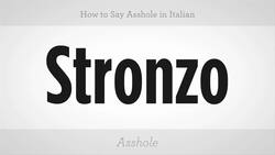 How to Say "Asshole" in Italian Instructional Video