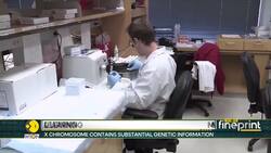 Chromosome X: Could brain ageing be linked to your mother's genes? News Clip