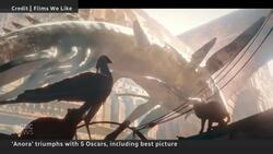 Anora among big Oscar winners with small budgets News Clip